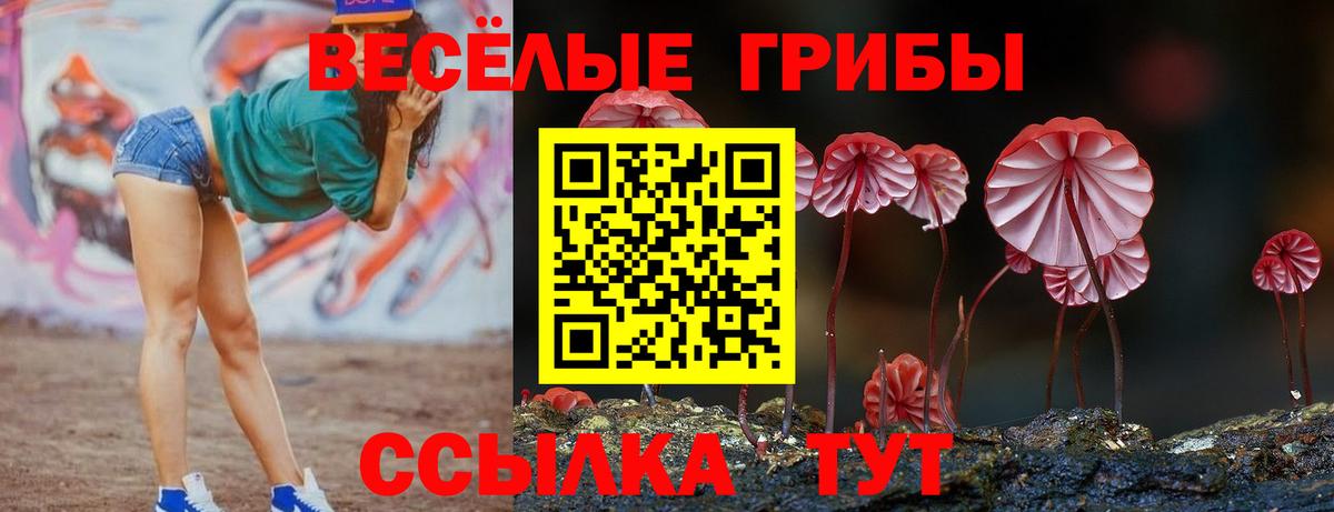 Галлюциногенные грибы ЛСД  Вход с VPN  Осинники 